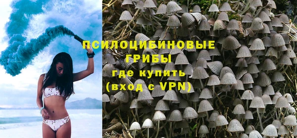 альфа пвп Лиски