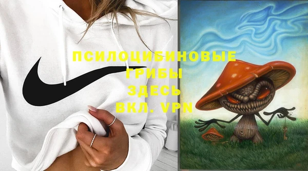 2c-b Липки